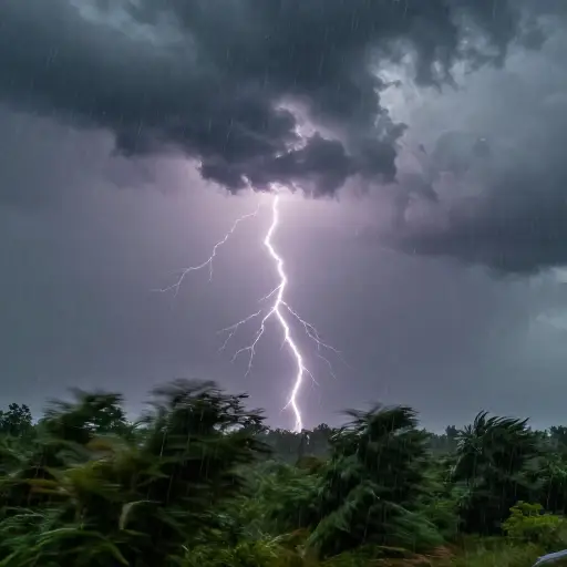 当雷声轰鸣时，风暴带着大雨突然开始了。