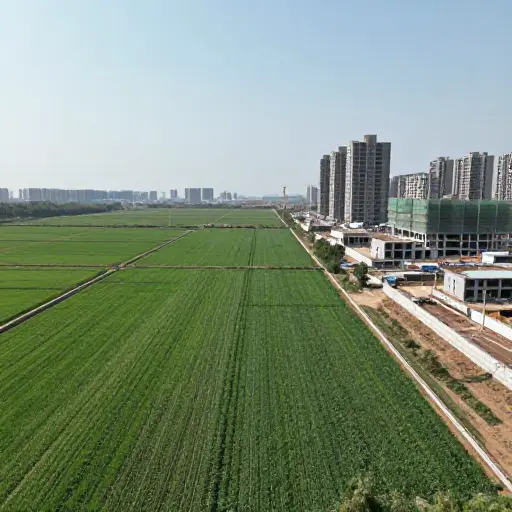城市化进程正逐渐侵占周边的农田。