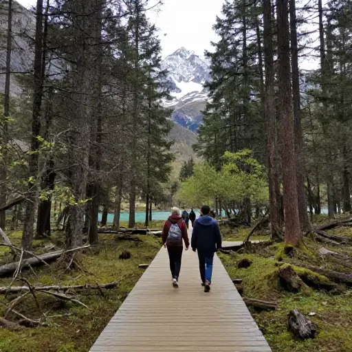生态旅游提供了一种负责任地体验荒野之美的方式。