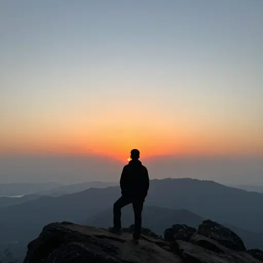 要看到美丽的日落，你应该去山顶。