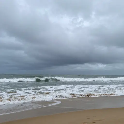 更糟的是，天气很糟糕，海水冷得我没法游泳。