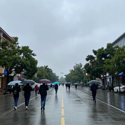 有一天下了雨，但只是一点点。