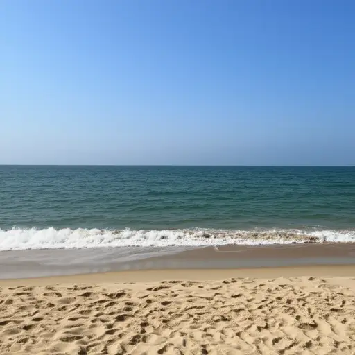 这次去海边的旅行很棒。