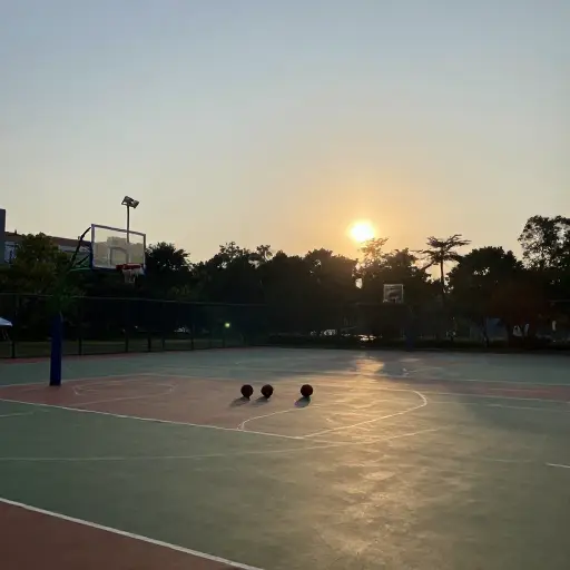 我错过了昨天的篮球训练。