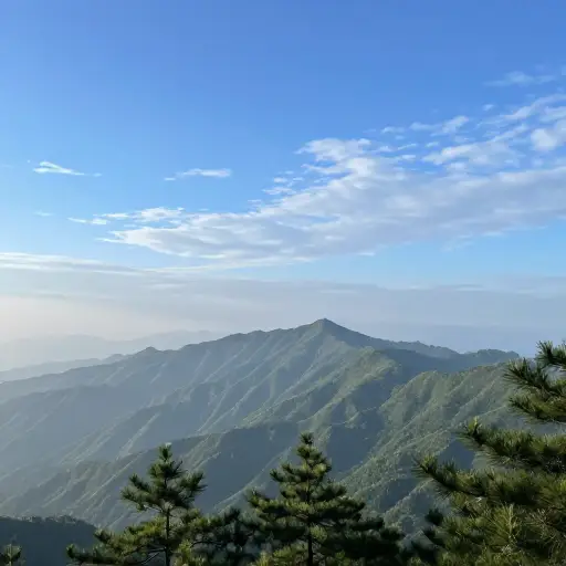 山区空气的纯净度令人称奇。