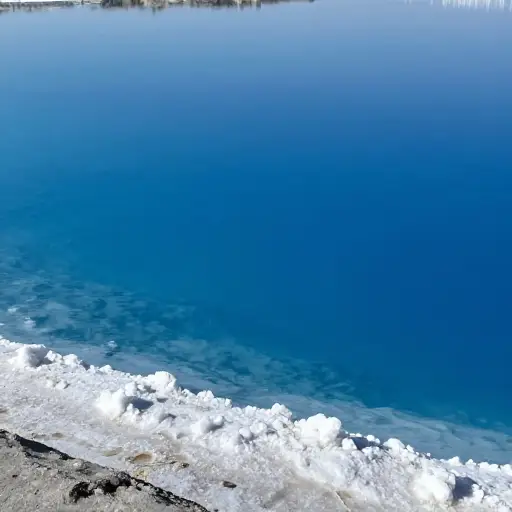 死海，顾名思义，盐度极高，大多数水生生物无法在其中生存。