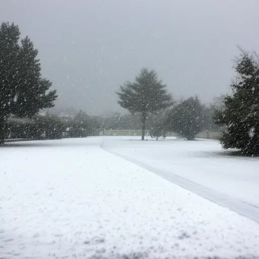 天气越来越糟了，从下雨变成了暴风雪。
