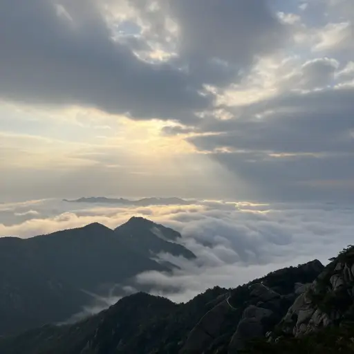 从山顶看到的景色非常壮观。