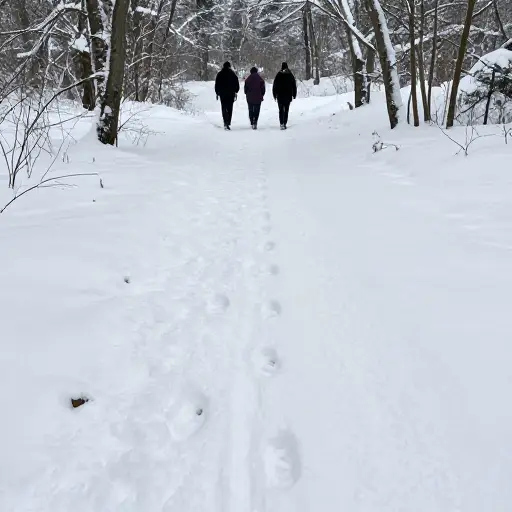 我们顺着动物在新雪中留下的足迹前进。