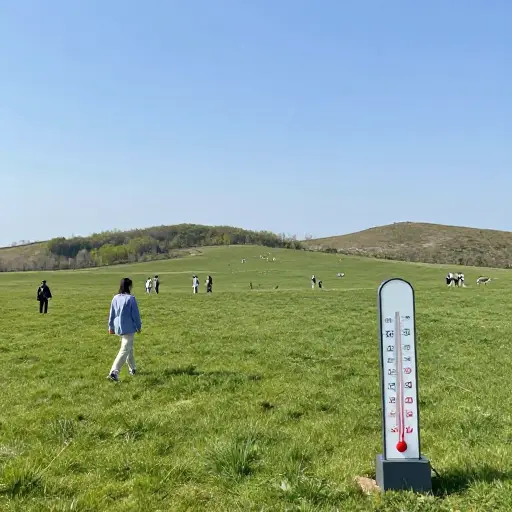 春天给这个地区带来了温和的气温。