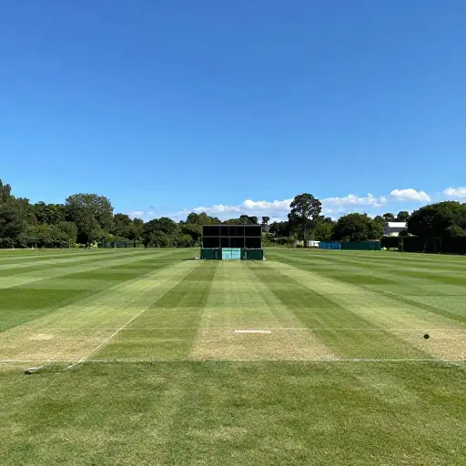 我们非常希望明天的板球比赛能有个好天气。