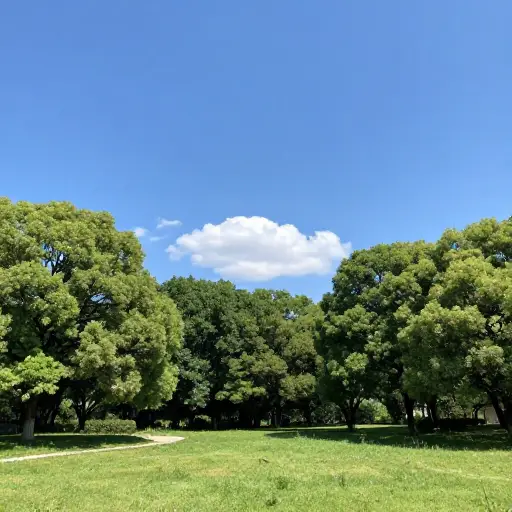 今天天气真好，阳光明媚。