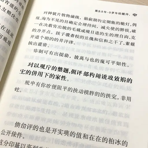 在小册子中，关键点用粗体文本突出显示。