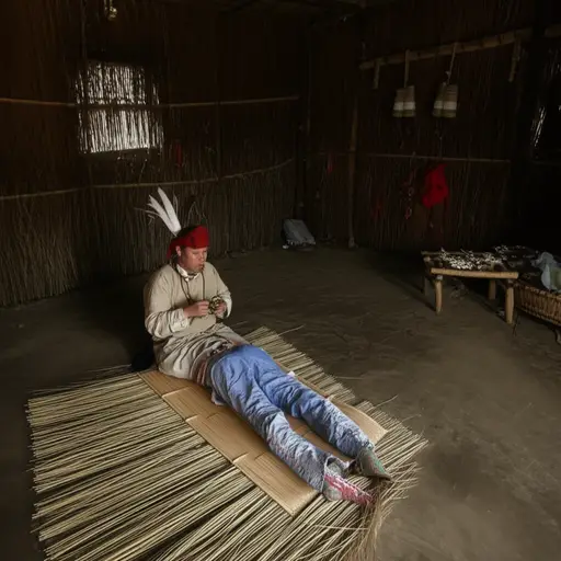 部落的萨满用草药和吟唱为病人治疗。
