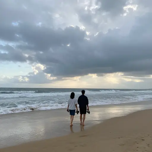 我们还是去海边吧——等我们到那里的时候，雨可能已经停了。