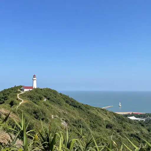 从山顶上，天气晴朗时你能瞥见远处的灯塔。