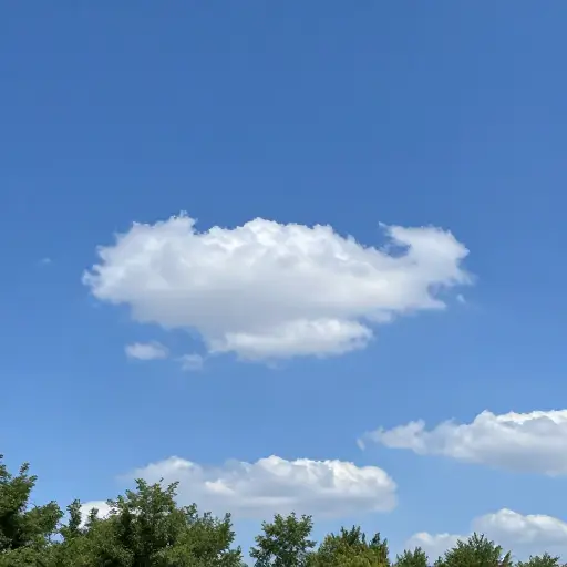 明天的天气会很好。