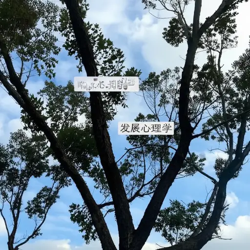 心理学有几个主要的分支，比如临床心理学和发展心理学。
