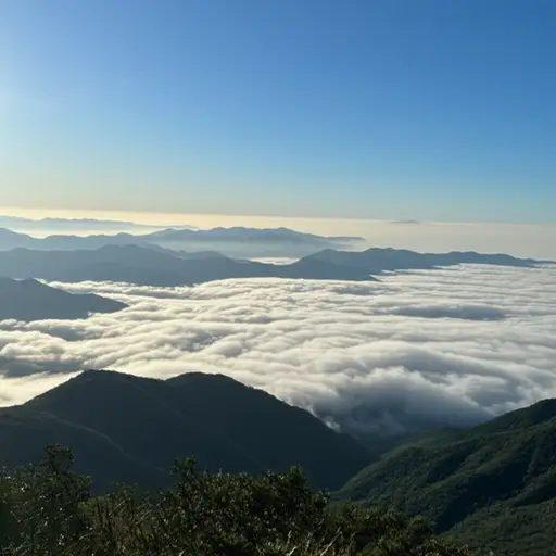 我们在山顶看到了一片壮丽的云海。