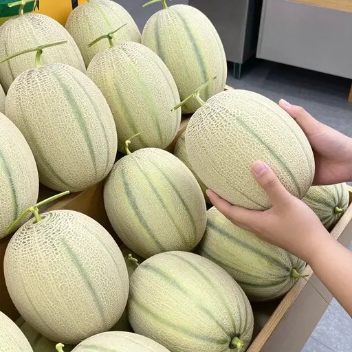 这个甜瓜多少钱？