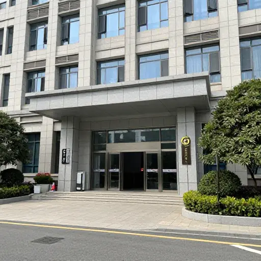 政府运营几家公立医院。