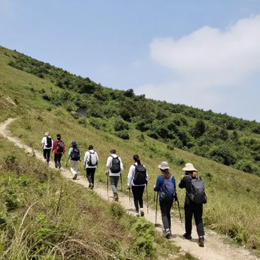 我们中有几个人上周末去山里徒步了。