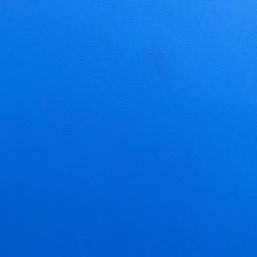 他用一种难以忽视的鲜艳蓝色粉刷了墙壁。