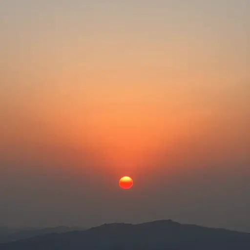 太阳从东方升起。