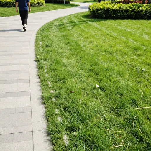 不要在草地上踩踏，以免伤害植物。
