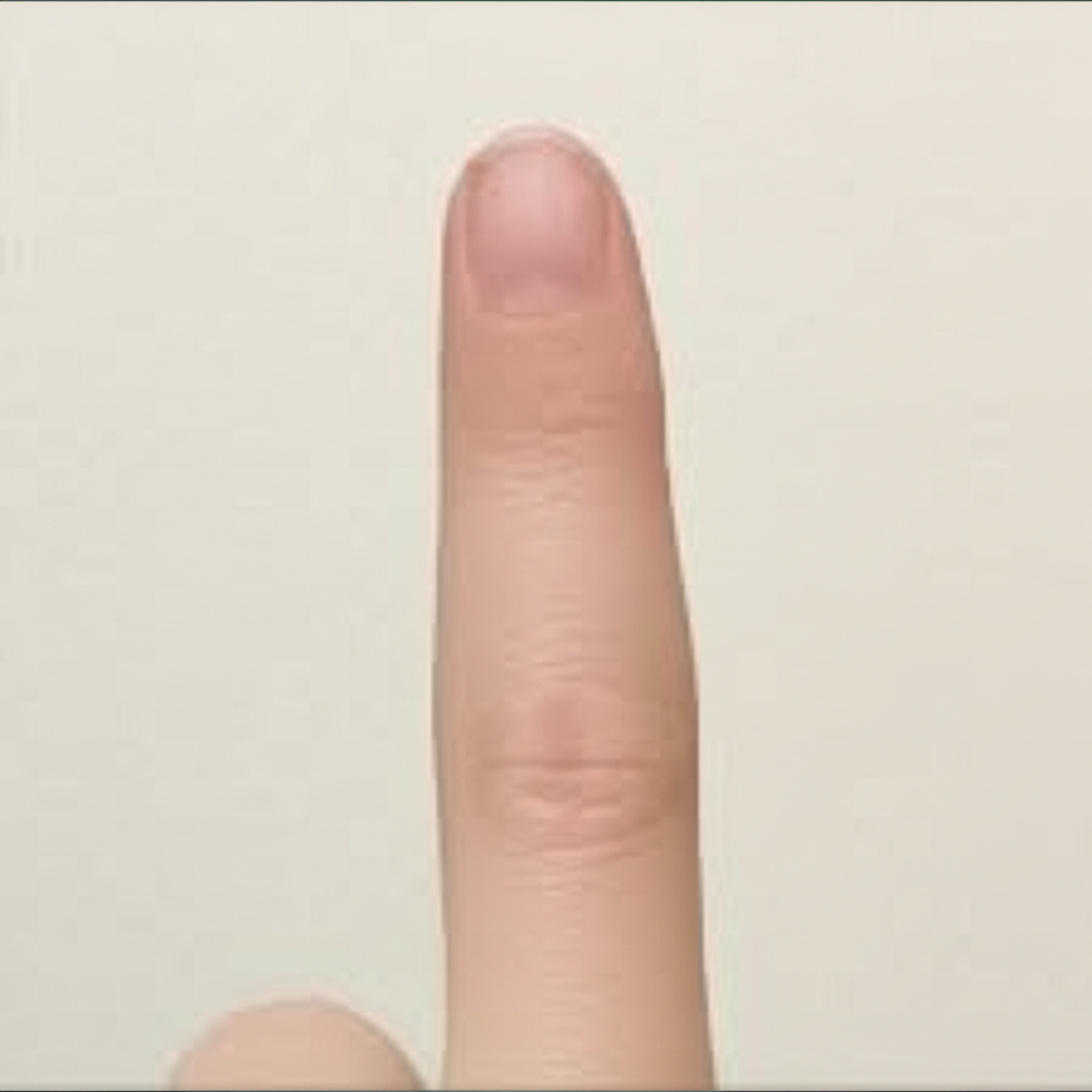 指甲修剪得很整齐。