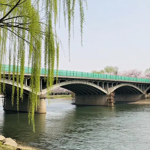 那座桥从去年春天起就一直在维修中。