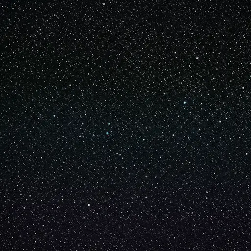 夜空中闪烁着数不清的星星。