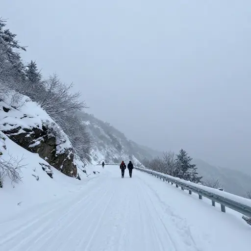 严酷的冬季天气迫使我们推迟了徒步旅行。