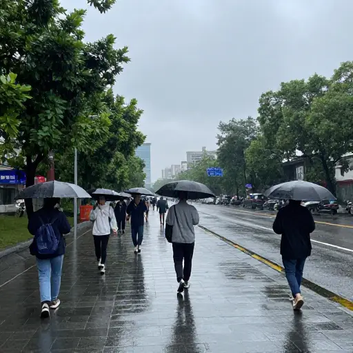 已经连续下了三天雨了。