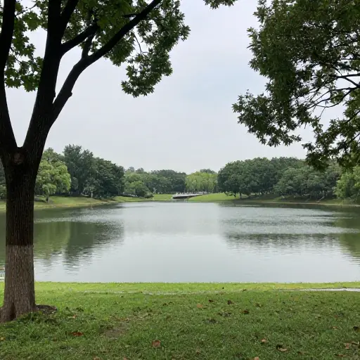公园的东边有一个大湖。