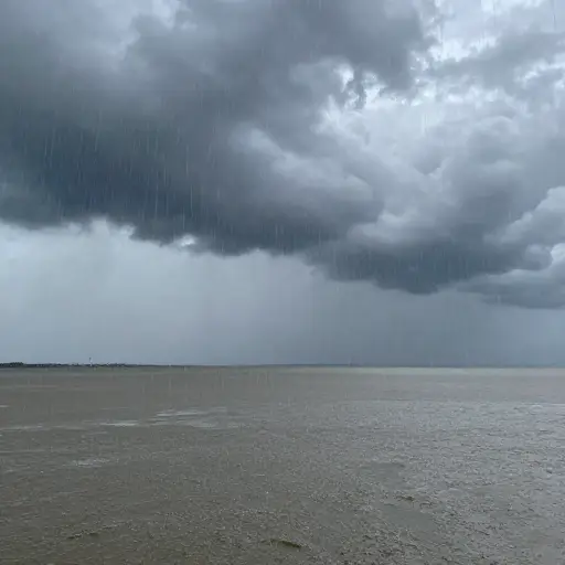 我预测会下雨，果然，天空变暗，大雨倾盆。