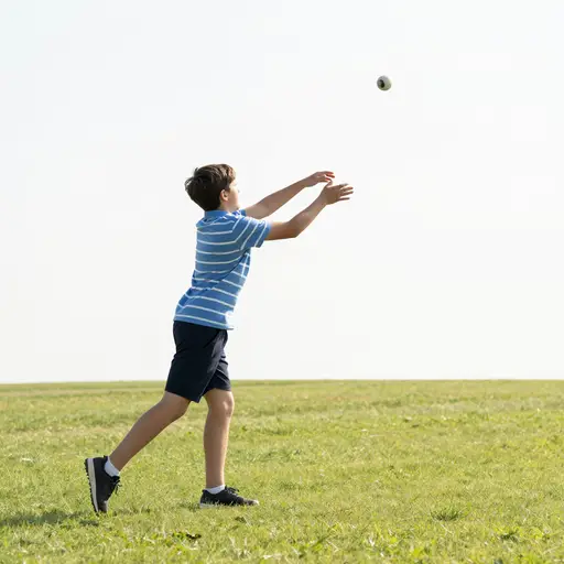 在句子 'Bob threw the ball' 中，'Bob' 是主语。
