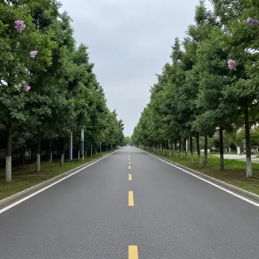 它的宽度是5米。