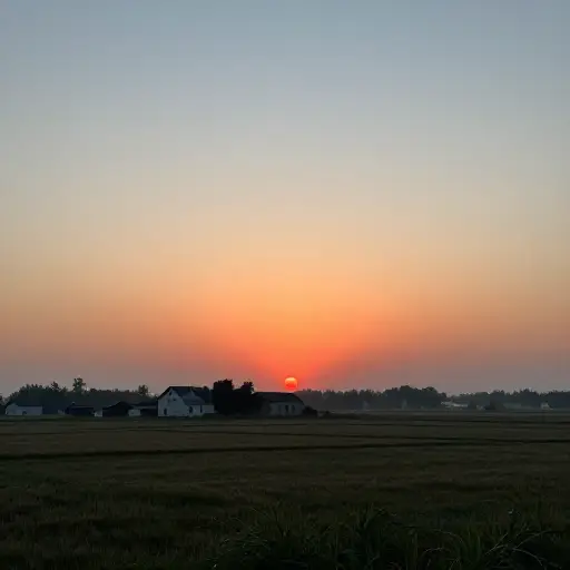 我想当然地认为太阳每天早晨都会升起。