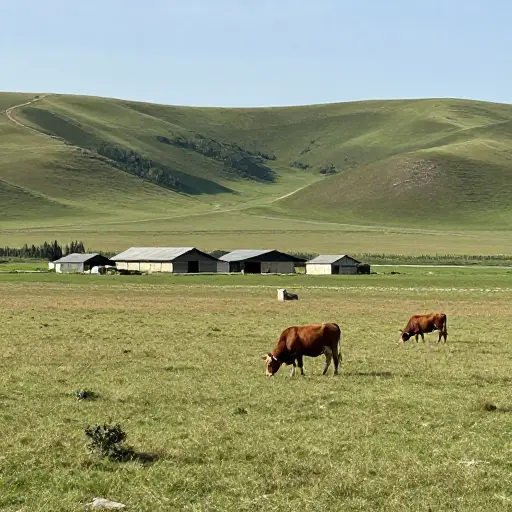该地区的大部分地方仍然是乡村和农业区。
