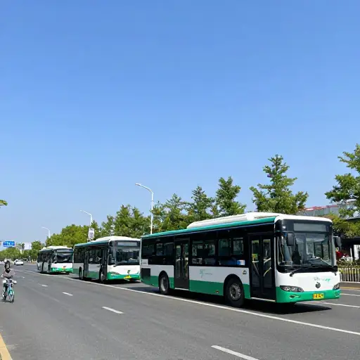 它们大多数不污染环境，而且不会造成道路拥堵。