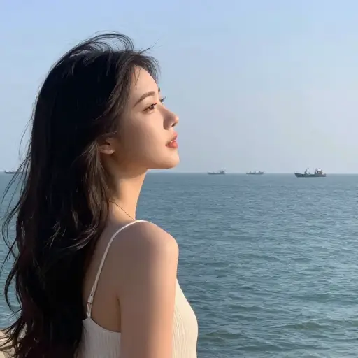她的眼睛快速扫视地平线，寻找那艘船。