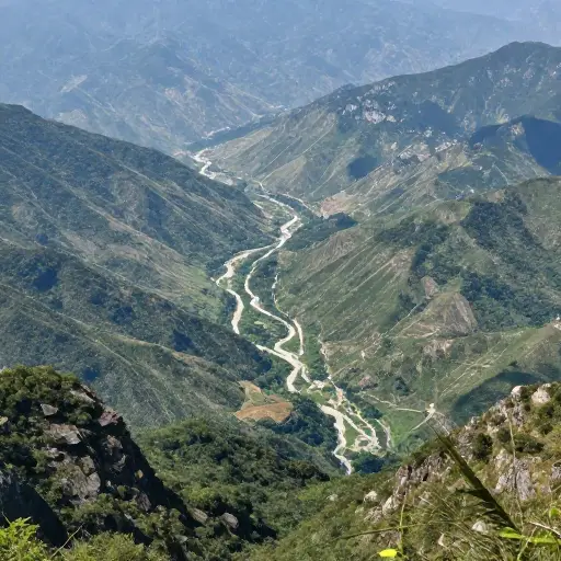 从山顶上，你可以俯瞰整个山谷。