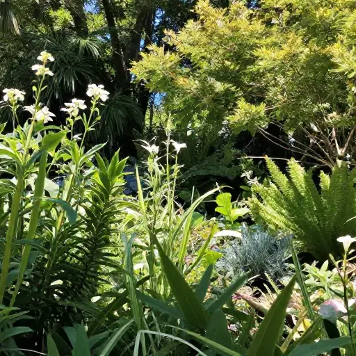 花园朝南。