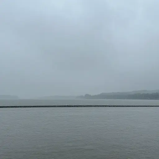 我确实记得雨下得很大，天空被一层灰色覆盖。