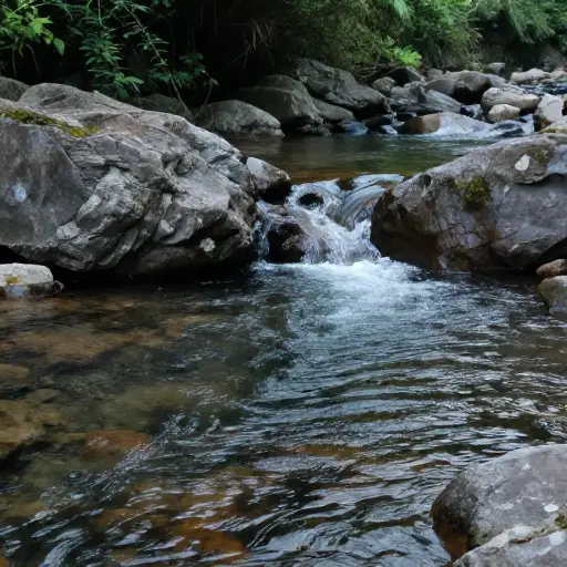 小溪里的水很冷。