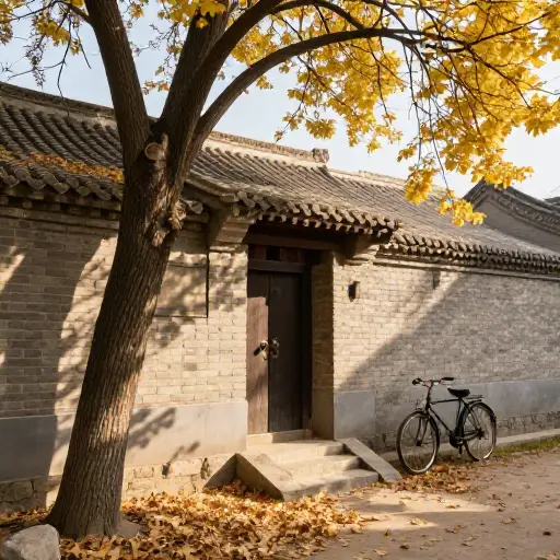 小时候，我常常在周末去奶奶家。