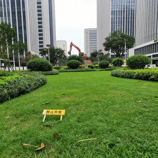 我们不能为了再建一个购物中心而牺牲最后这片绿地。