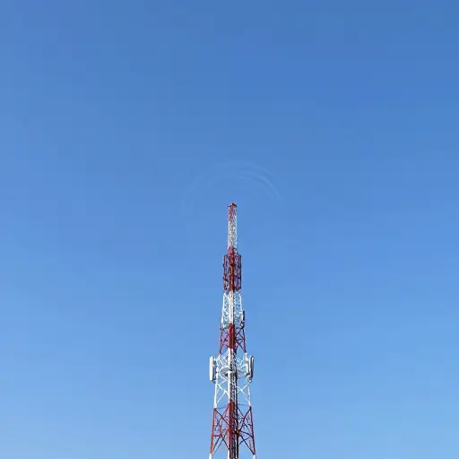 无线电波用于长距离传输信号。
