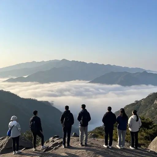我们从山顶欣赏到了壮丽的景色。
